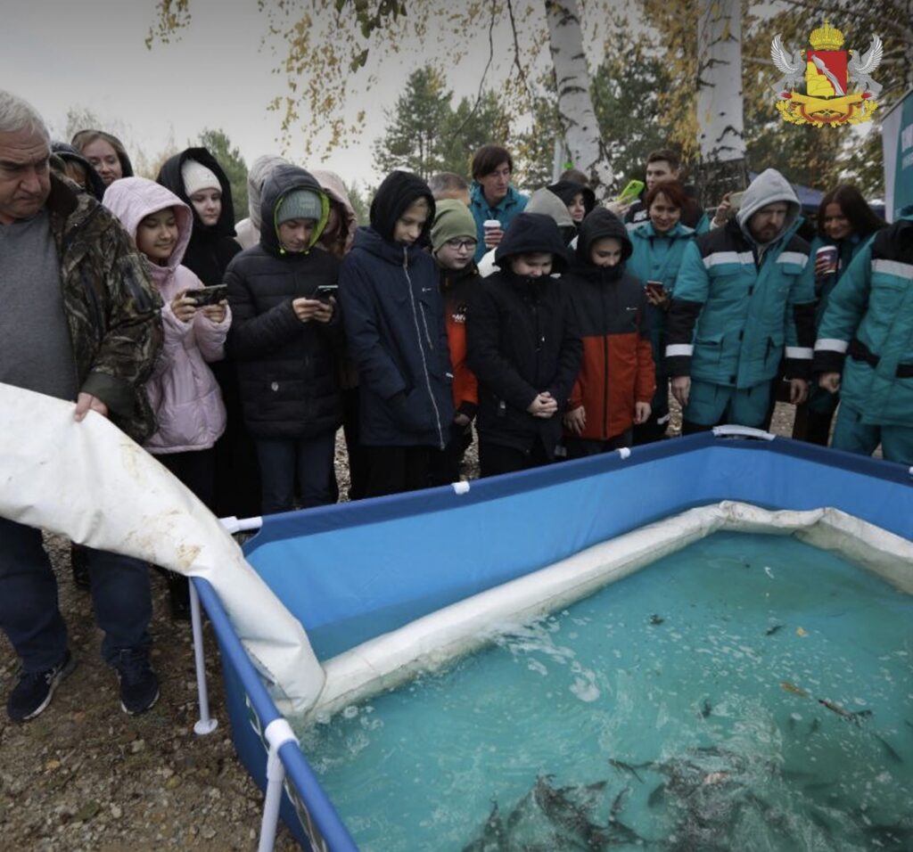 80 тысяч мальков толстолобика и сазана выпустили вчера в Воронежское водохранилище
