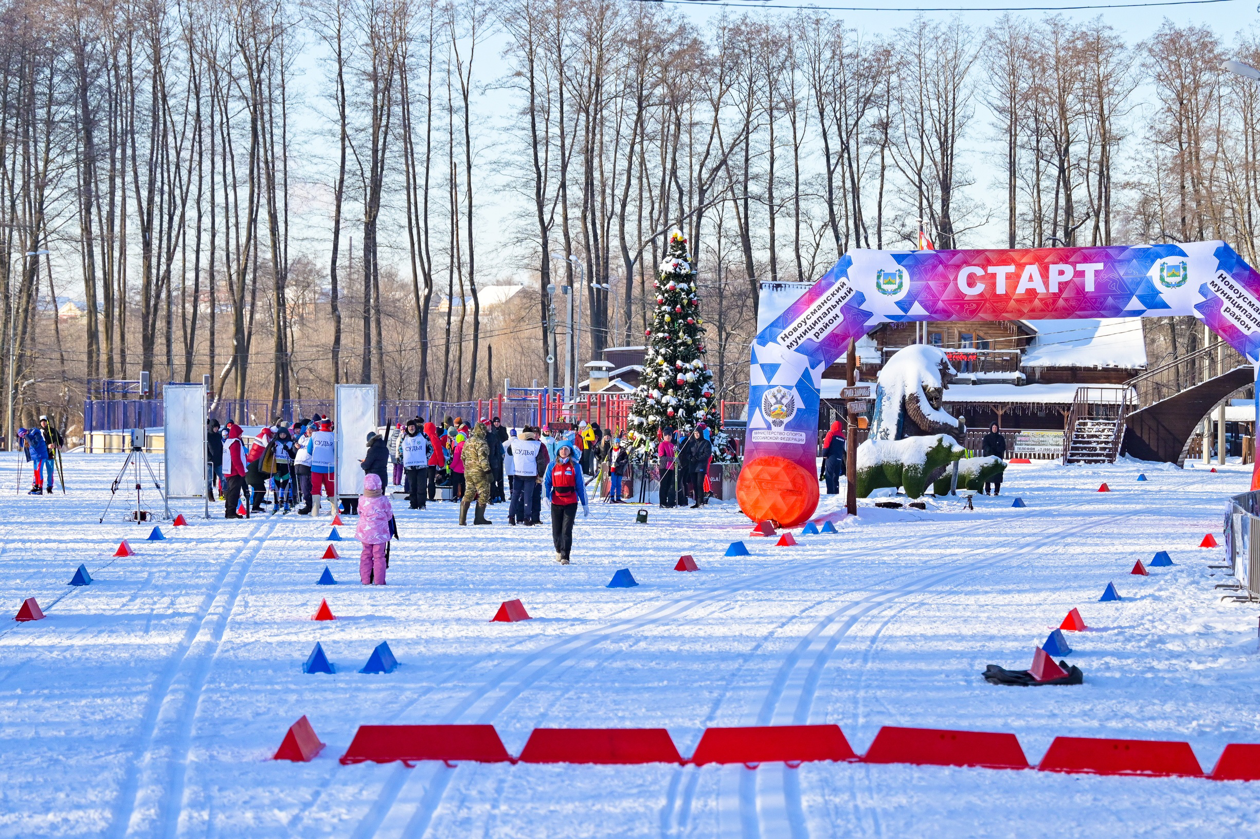 Первенство Воронежской области по лыжным гонкам – состоялось на минувших выходных. Мероприятие проходило на базе лыжероллерной трассы «Дубрава» в Новой Усмани.
