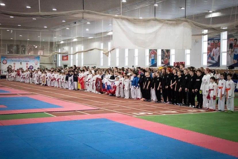 Воронежские спортсмены завоевали 34 медали на Всероссийском турнире по каратэ-до сито-рю в городе Липецк.